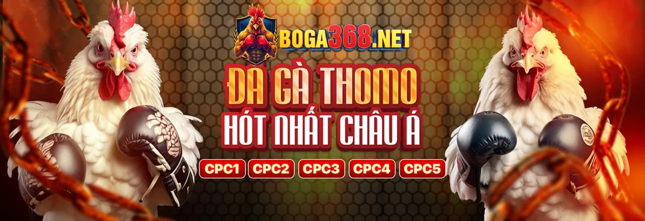 Đá Gà Trực Tuyến Hấp Dẫn tại hn88 game